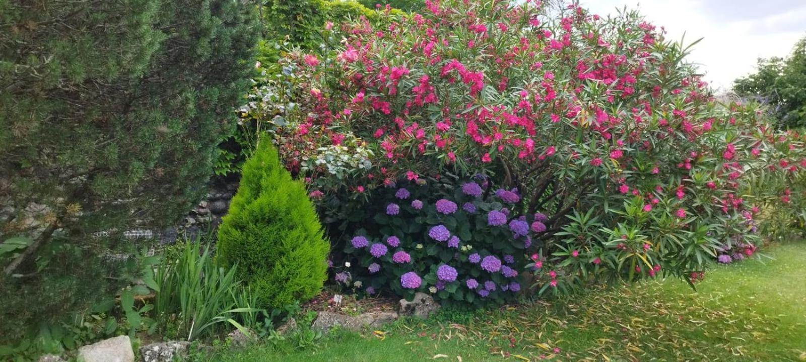 Gite 5 "Le Laurus" Aux Magnolias 欧布纳 外观 照片