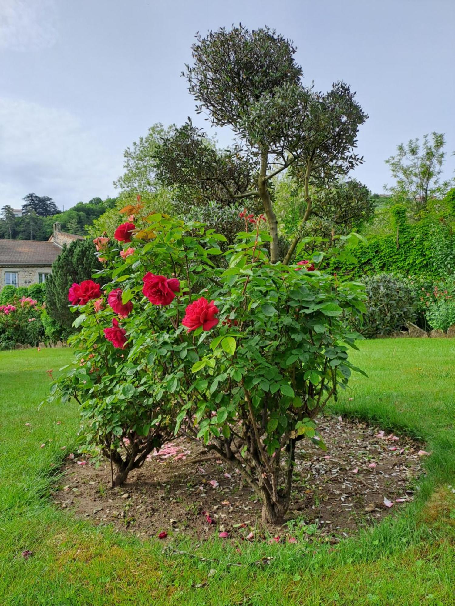 Gite 5 "Le Laurus" Aux Magnolias 欧布纳 外观 照片