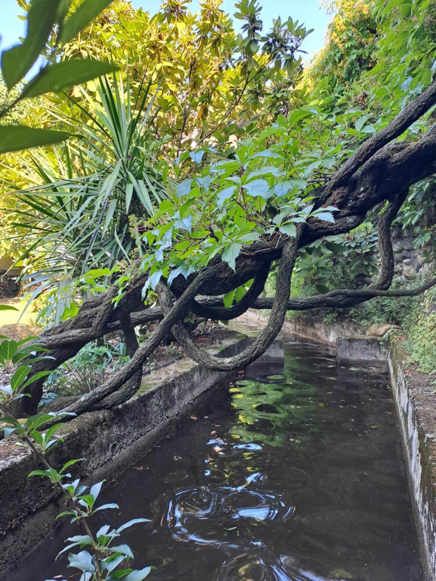 Gite 5 "Le Laurus" Aux Magnolias 欧布纳 外观 照片
