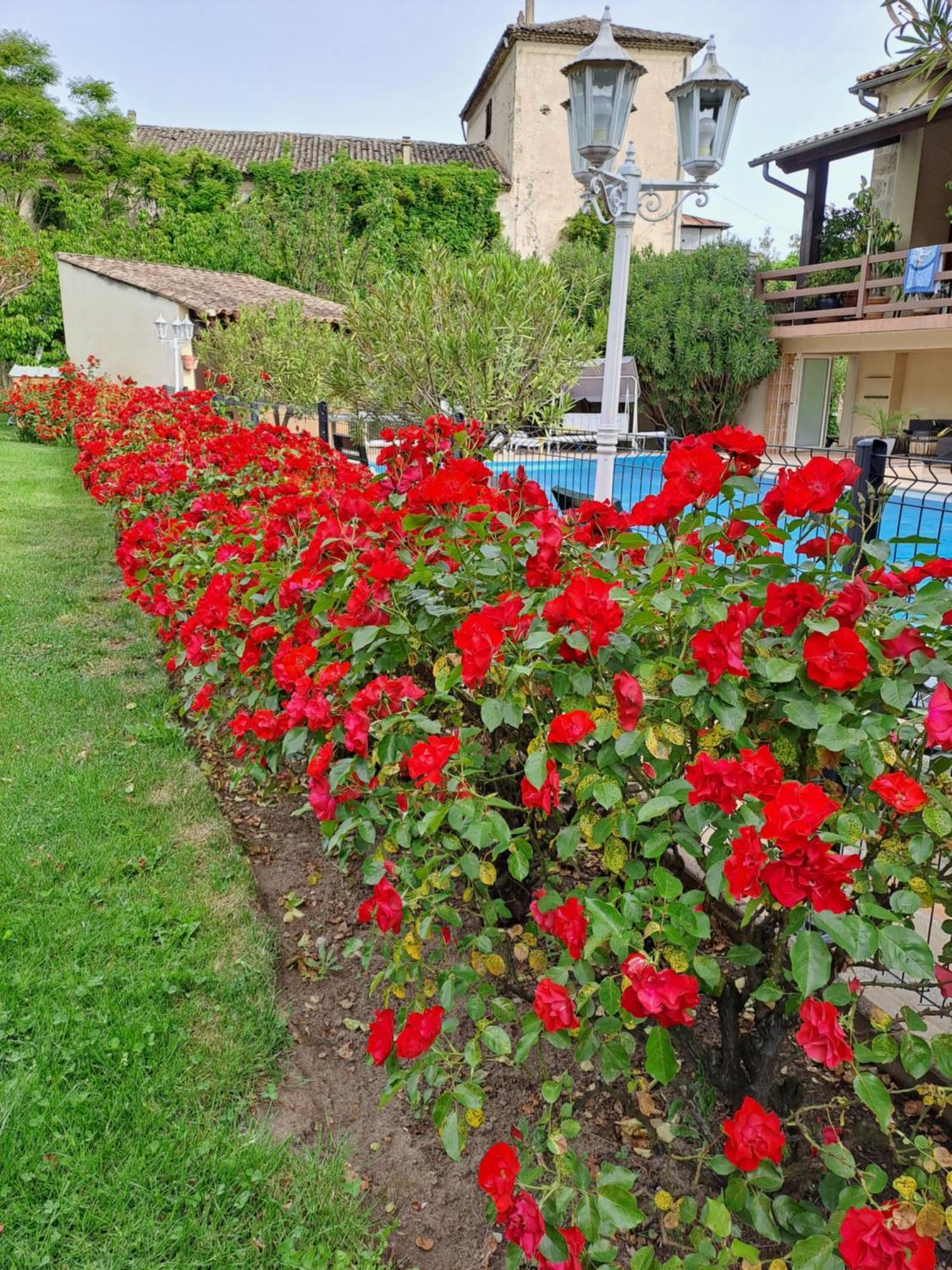 Gite 5 "Le Laurus" Aux Magnolias 欧布纳 外观 照片